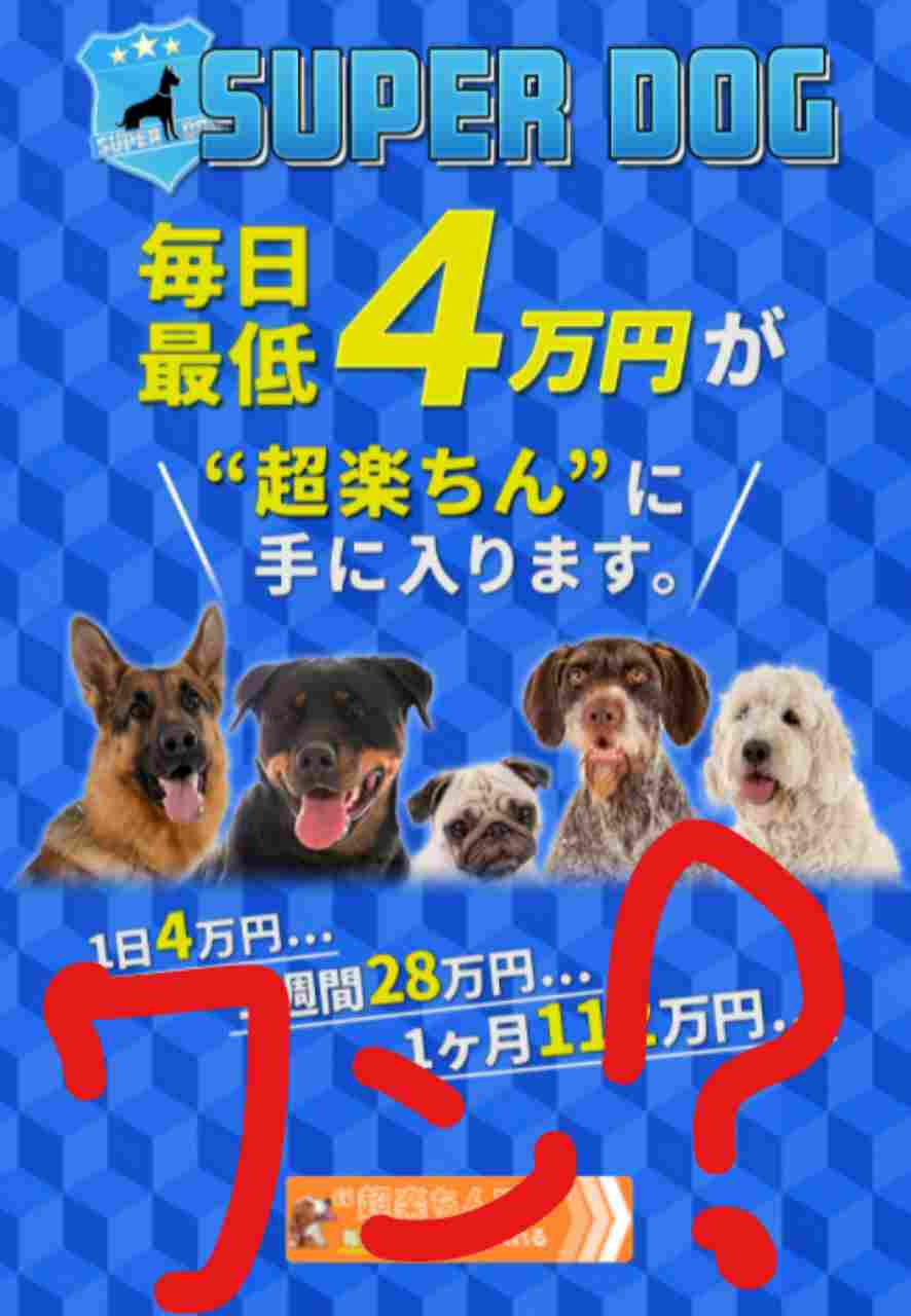 浅野夕美 SUPER DOG（スーパードッグ）LP画像１